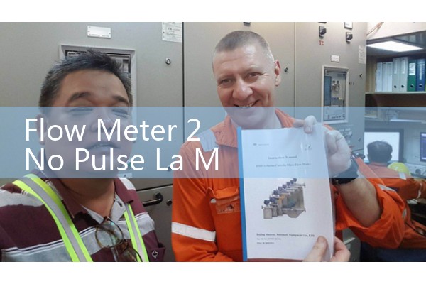 Flow Meter 2 No Pulse La Marzocco Diagnostics: Resolving Group Head Volumetric Issues